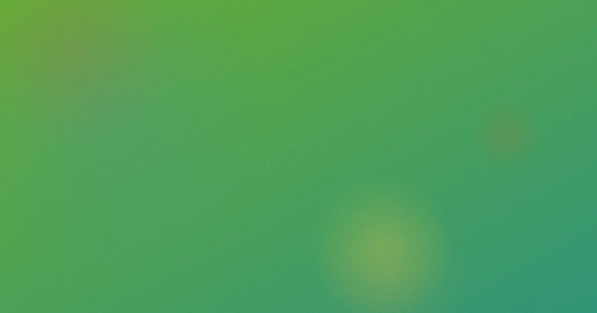 测试63测评：避坑版指南